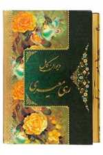 دیوان کامل رهی معیری