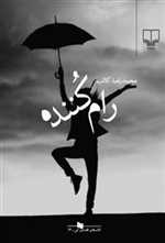 رام کننده (کتاب های قفسه ی آبی14)،(شمیز،رقعی،چشمه)